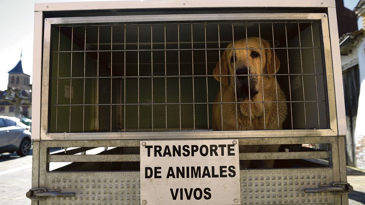 Imagen representativa de la noticia de portada