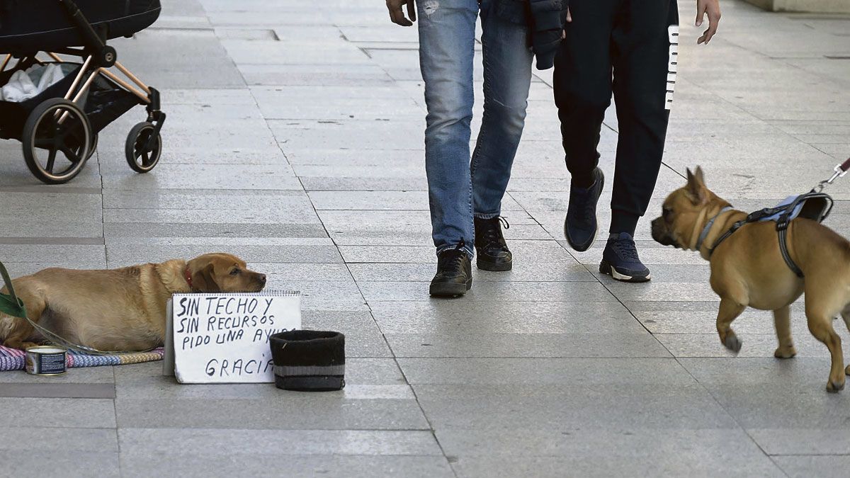 Imagen representativa de la noticia de portada