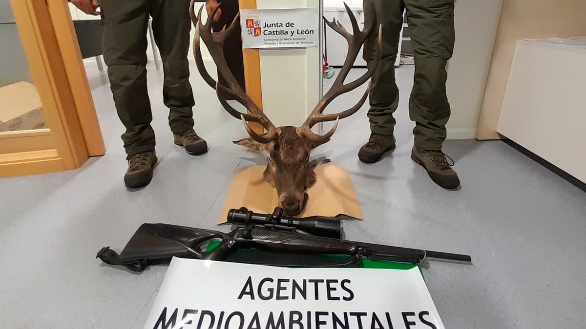 Imagen representativa de la noticia de portada