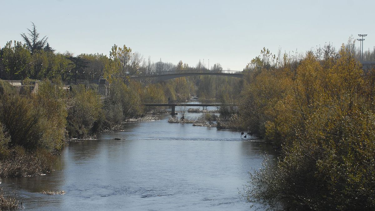 Río Bernesga a su paso por León. | MAURICIO PEÑA