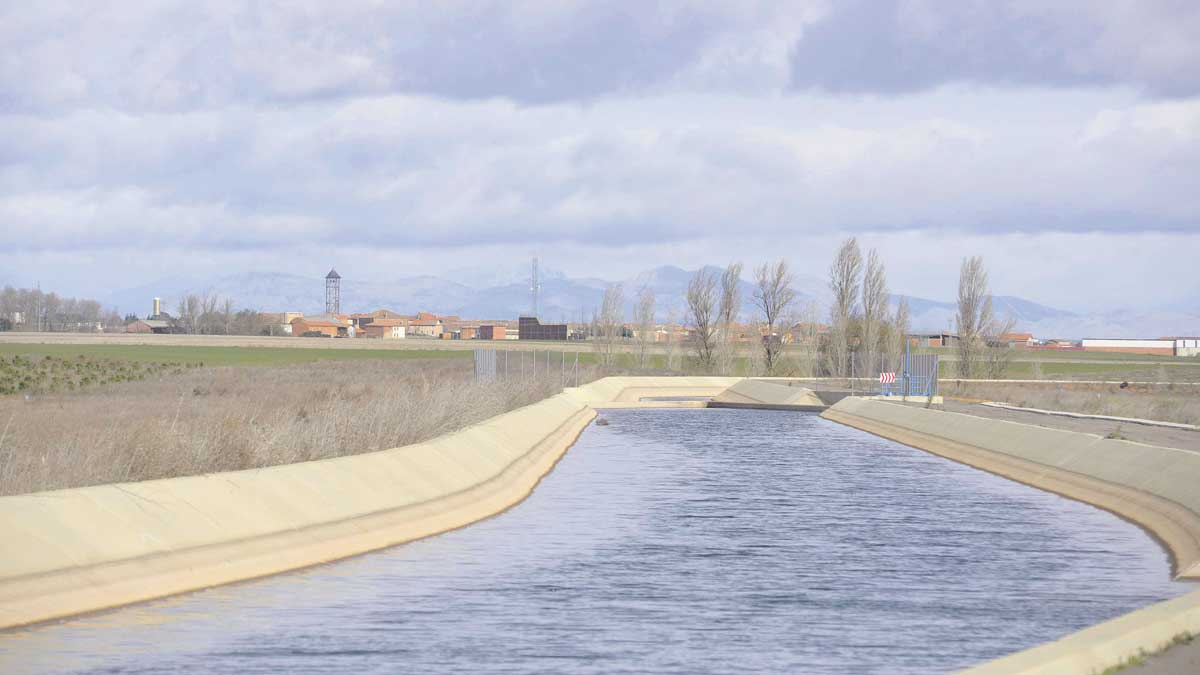 Un tramo del Canal Bajo de Payuelos en Bercianos del Real Camino. | DANIEL MARTÍN