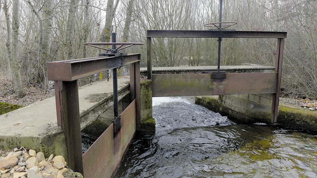 La compuerta de la zaya que deriva agua del Duerna para los regueros que trasvasan al río Peces. | MAURICIO PEÑA