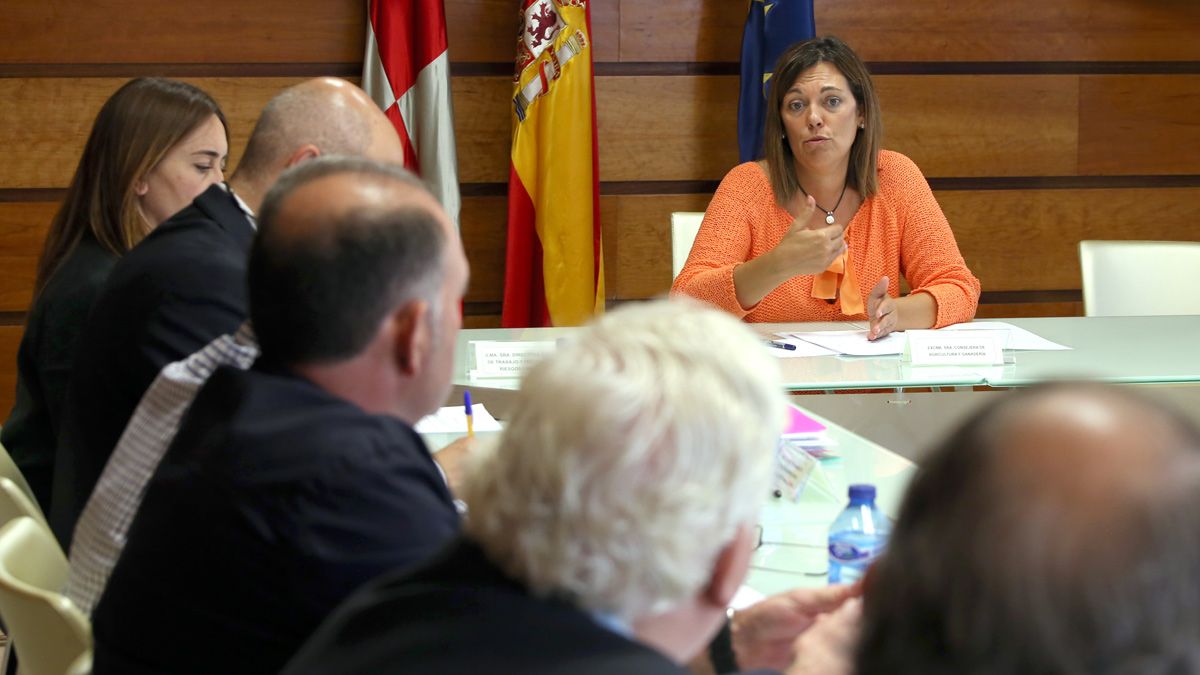 Milagros Marcos en el Comité de Cooperativismo Agrario de Castilla y León. | ICAL