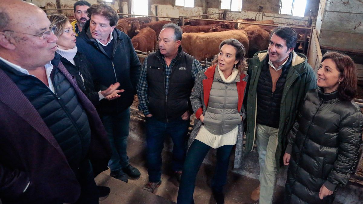 Cuca Gamarra visitó una ganadería de vacuno extensivo. | ICAL