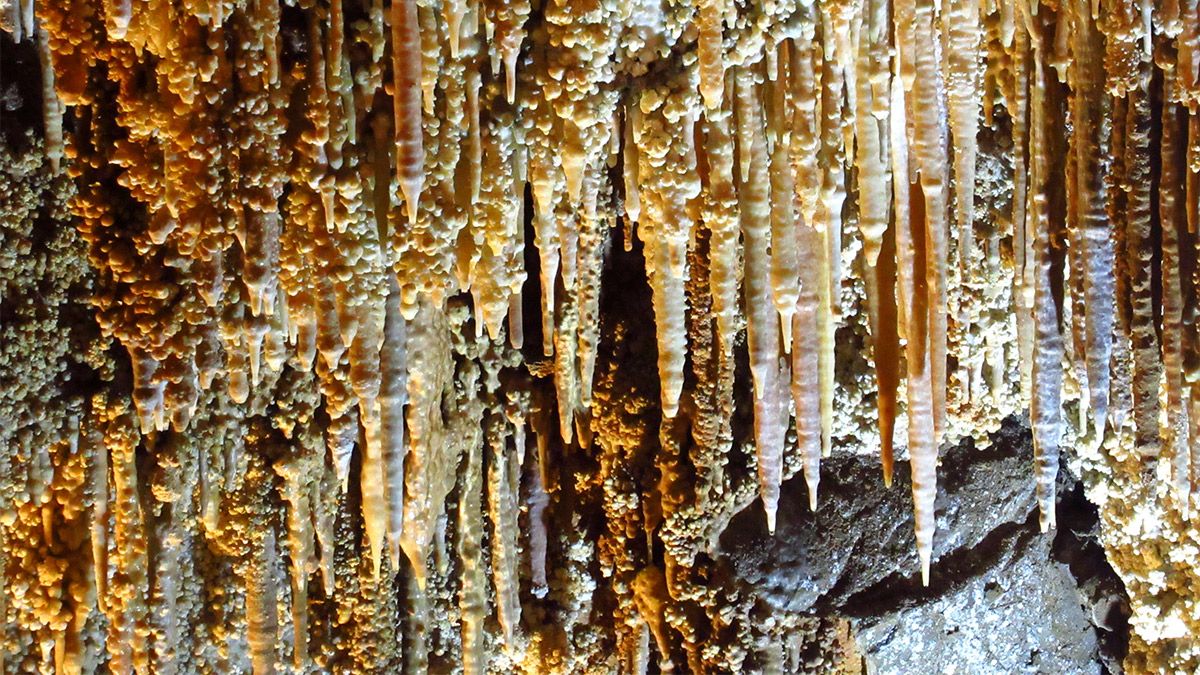 Formación de estalactitas en la Cueva de Llamazares. | L.N.C.
