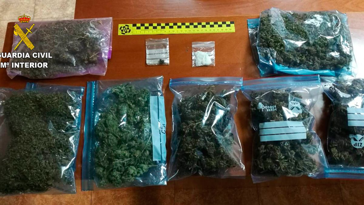 Droga incautada durante la operación policial en Bembibre. | GUARDIA CIVIL