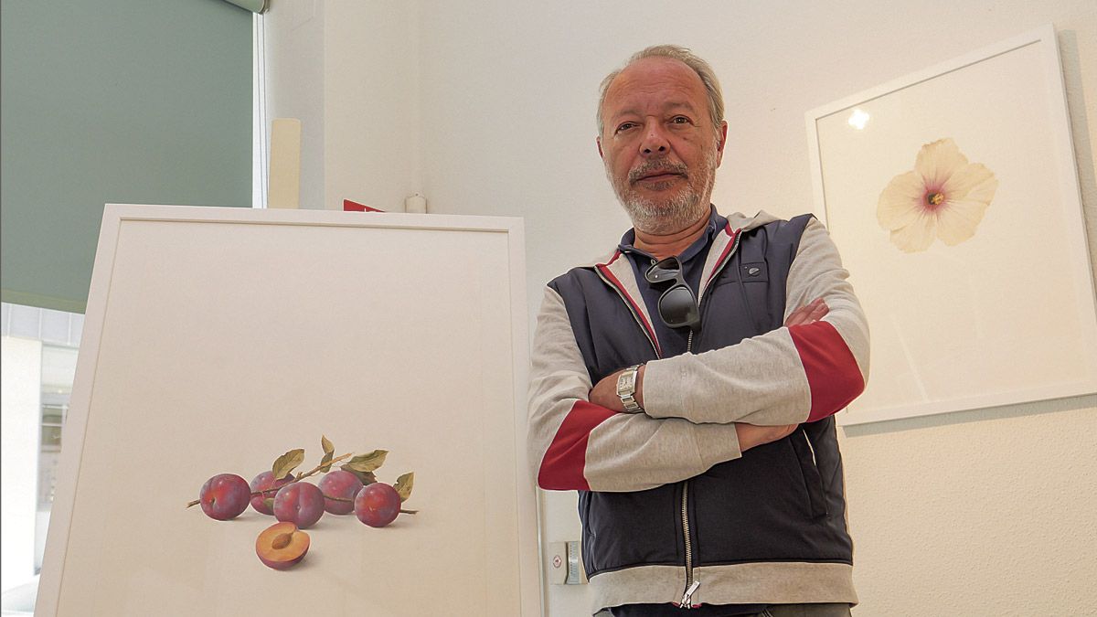 El artista Enrique Reche posa con el cuadro de las ciruelas y detrás el hibisco. | VICENTE GARCÍA