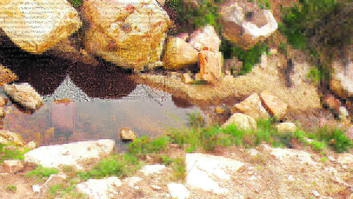 Entorno del arroyo Alceo, en las inmediaciones de la localidad gordonesa de Folledo, también afectado. | E. NIÑO