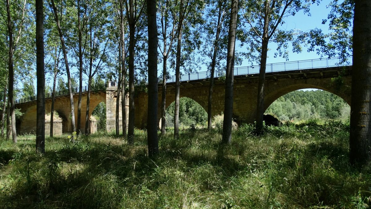 Se trata de un puente largo, de 166 metros de longitud y una anchura de calzada de cuatro metros. | LUIS SOLERA SELVI