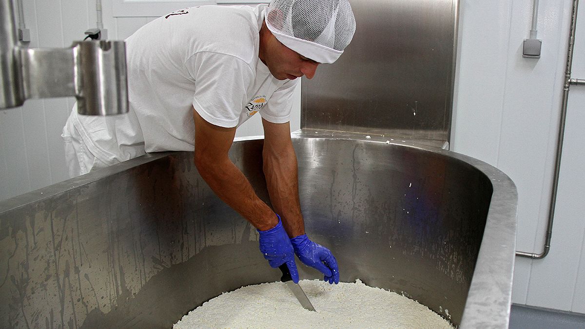 Un joven emprendedor que abrió su propia quesería en la provincia de León. | ICAL