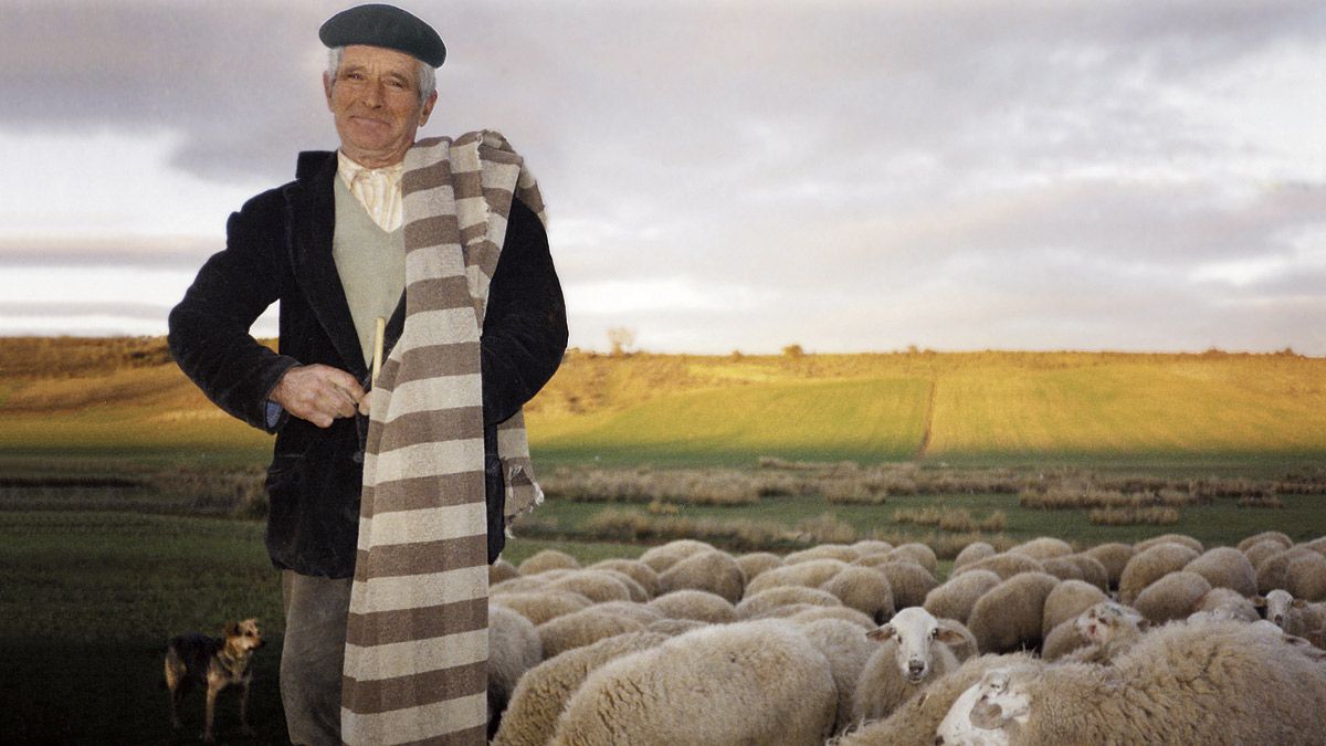 Una de las imágenes de pastores que se puede ver en la exposición en el auditorio de Sahagún. | J.D.RODRÍGUEZ