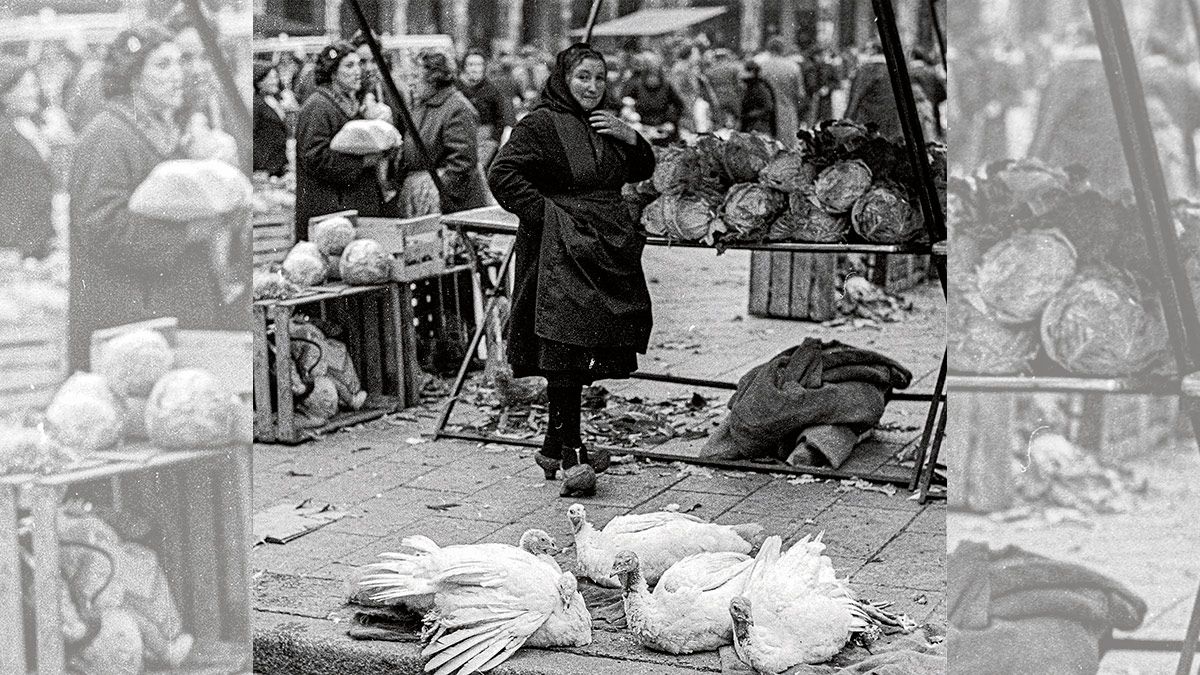 Una estampa muy típica de aquellos mercados de la ciudad, los animales atados a la espera de su venta. | FERNANDO RUBIO
