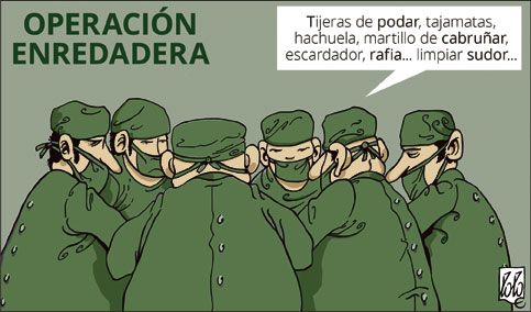 Imagen representativa de la noticia de portada