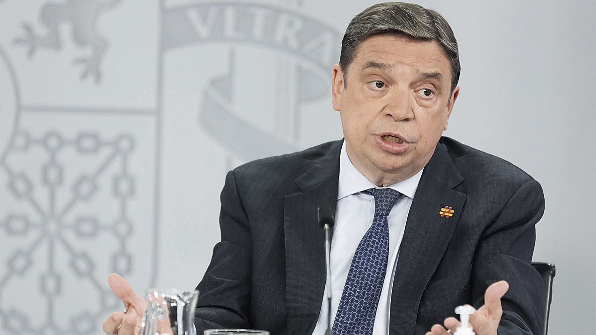 El ministro Luis Planas explicó este martes el contenido del real decreto ley. | E.P.