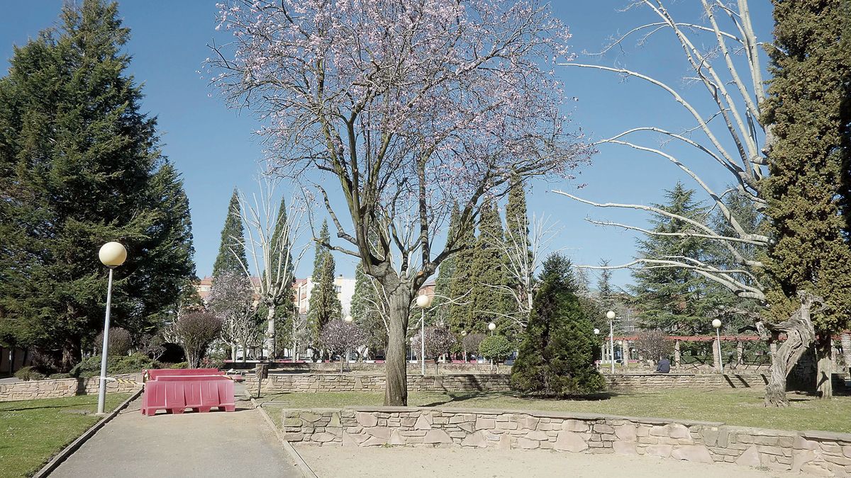 El Ayuntamiento de León adjudicará en breve el nuevo contrato para el mantenimiento de jardines. | DANIEL MARTÍN