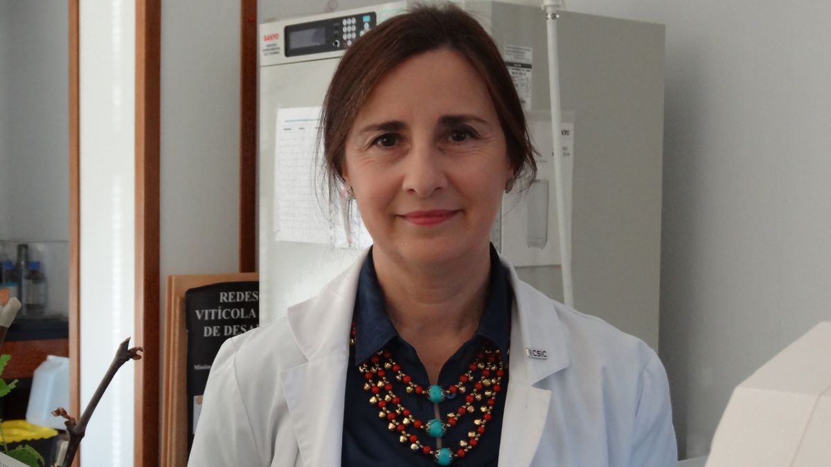 La investigadora de origen asturiano María del Carmen Martínez Rodríguez. | L.N.C.
