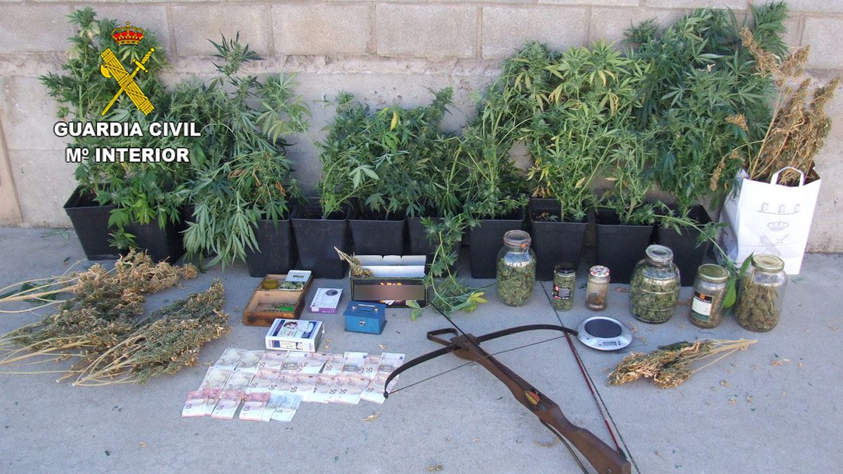 Marihuana y material incautado en la operación llevada a cabo en La Robla. | GUARDIA CIVIL