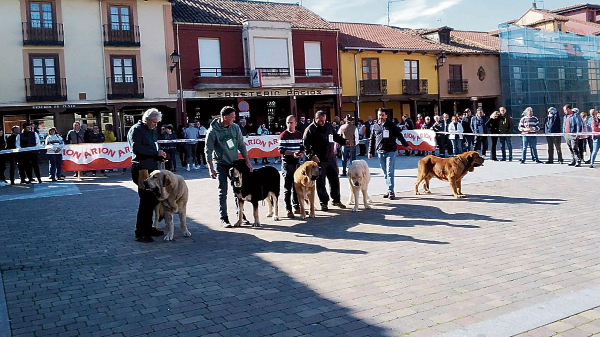 Imagen representativa de la noticia de portada
