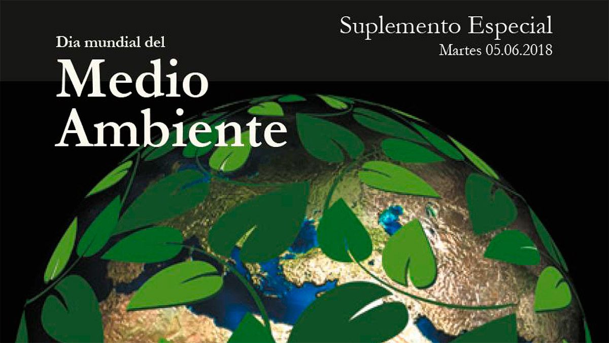 Día Mundial Medio Ambiente