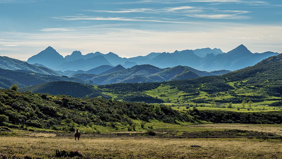 Las montañas desde la Vega. | VICENTE GARCÍA
