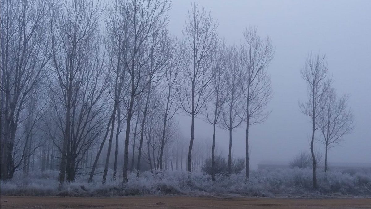 Niebla, frío y cencellada este viernes por la mañana en Santa Cristina de Valmadrigal. | A.C.