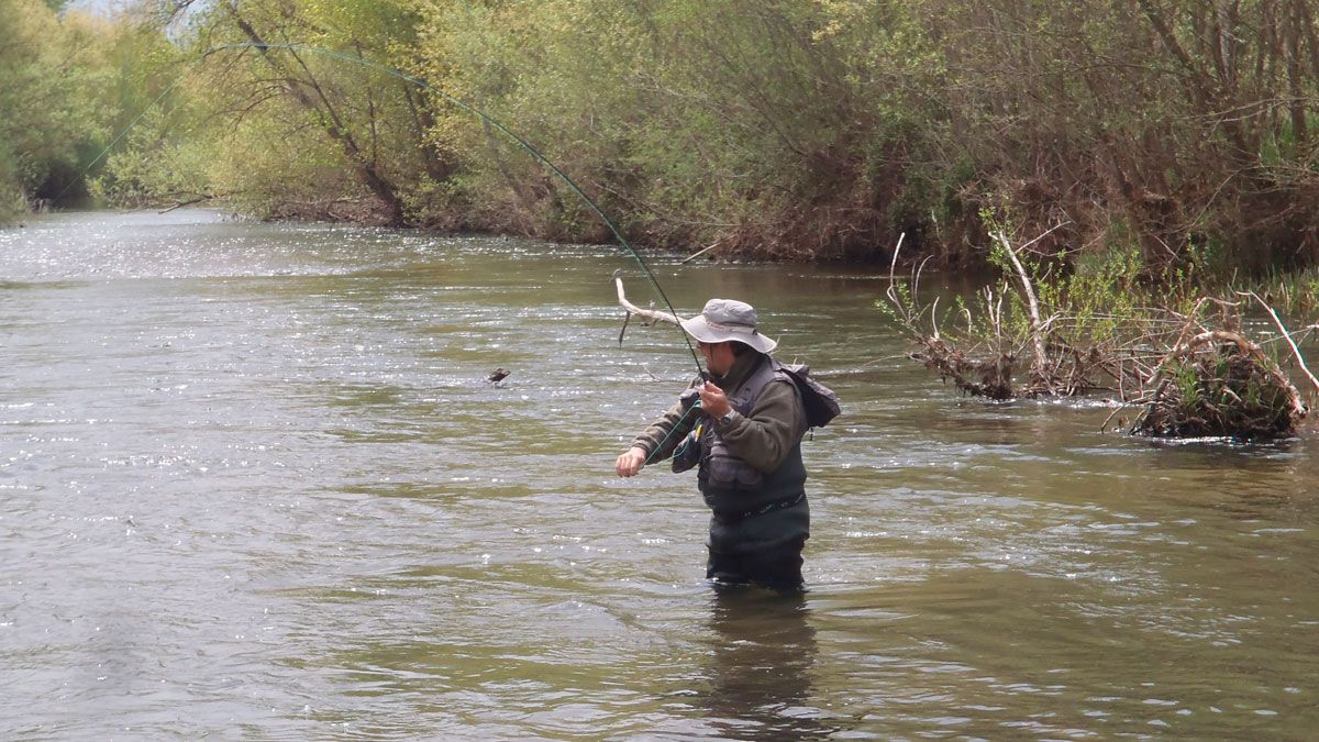 Un pescador desarrolla su actividad en el río Órbigo. | R.P.N.