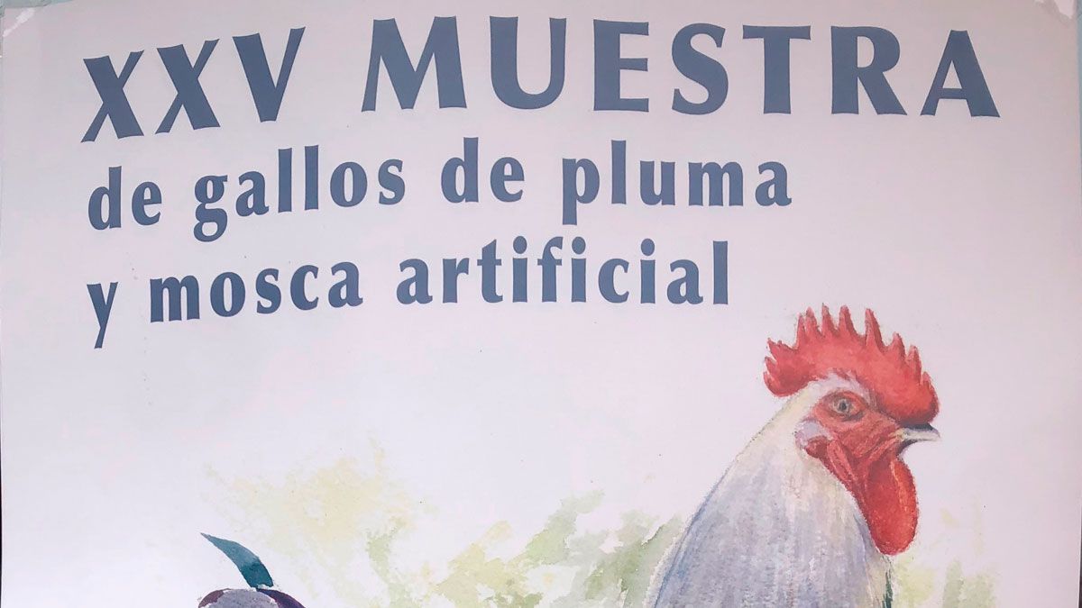 Imagen representativa de la noticia de portada