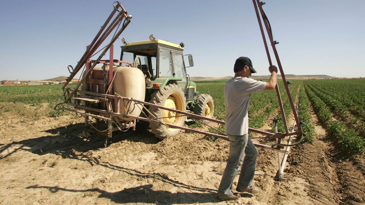 El uso de pesticidas en el campo está cada vez más controlado y ligado a las ayudas económicas europeas. | ICAL
