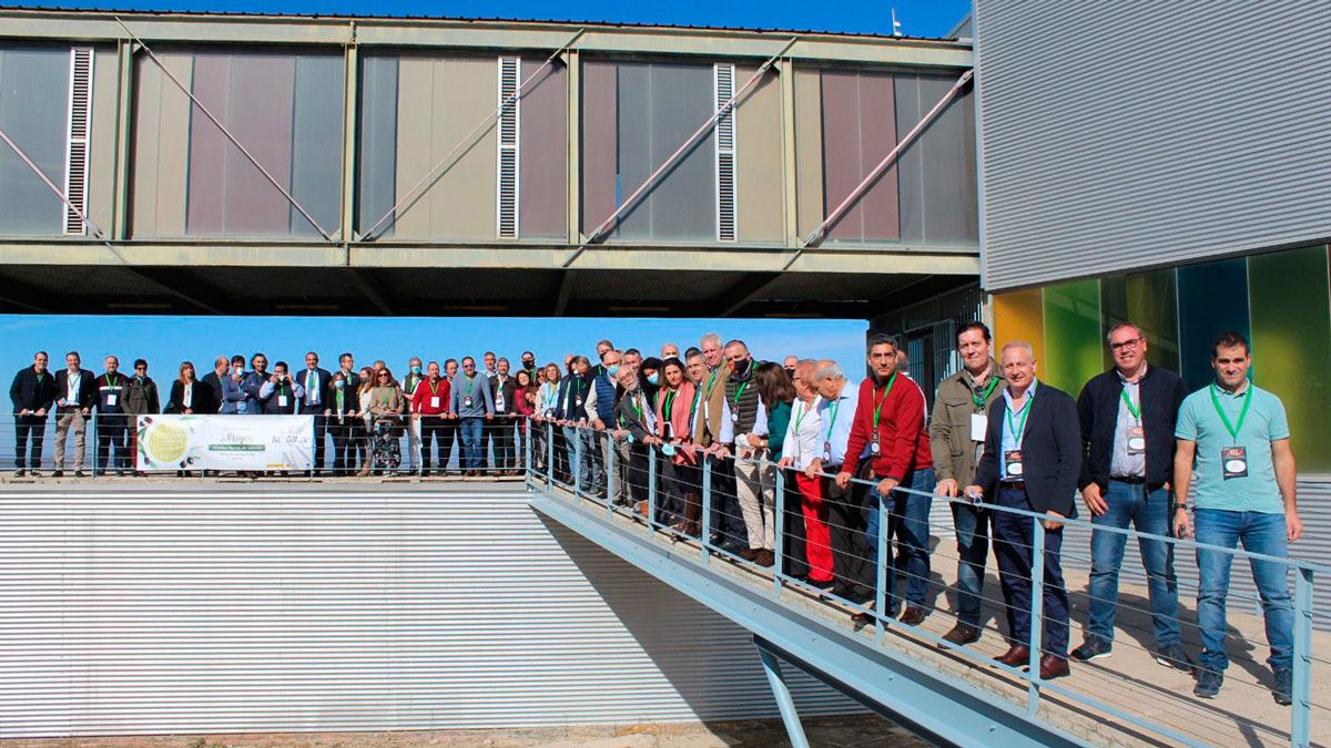 Todos los asistentes a la reunión de las denominaciones de origen en Jaén. | L.N.C.