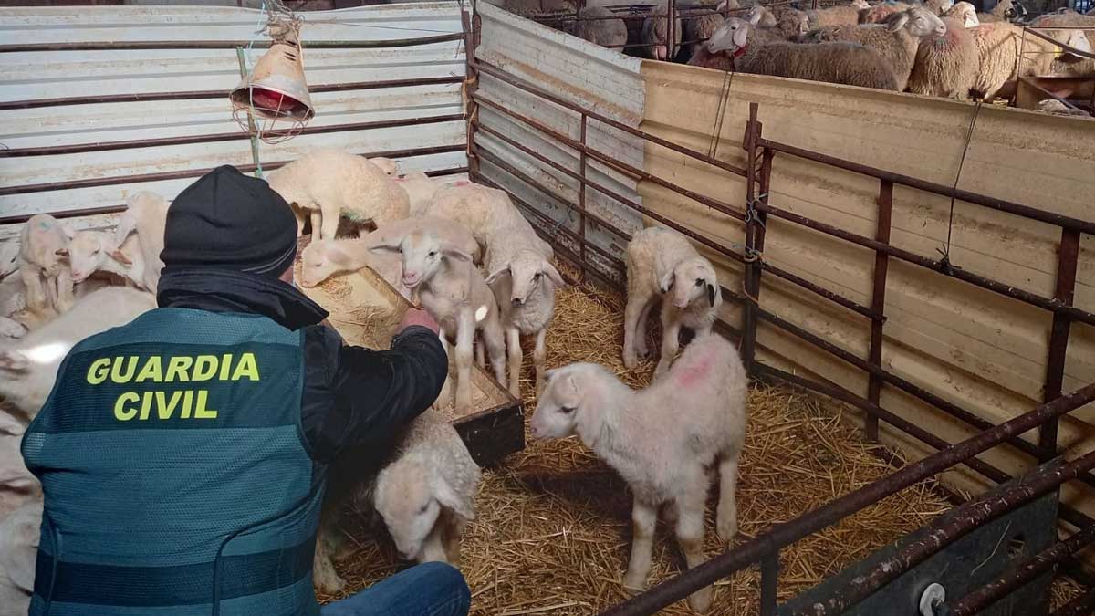 Imagen representativa de la noticia de portada