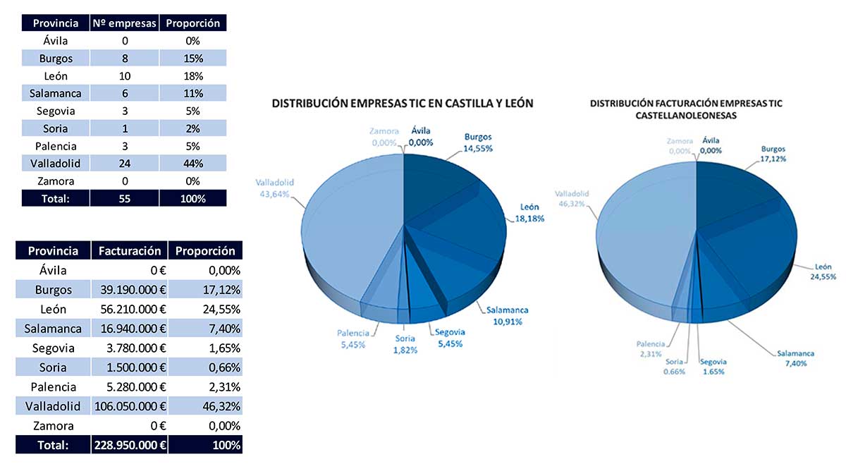 Distribución del sector TIC en Castilla y León. | L.N.C.