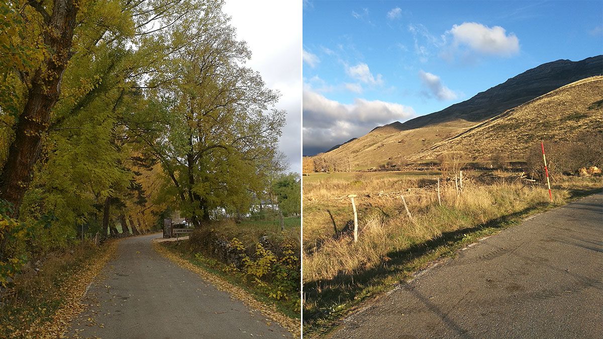 El antes y el después de la tala de los chopos en el entorno de la localidad babiana. | L.N.C.