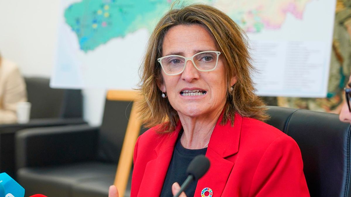La ministra para la Transición Ecológica y el Reto Demográfico, Teresa Ribera. | EP