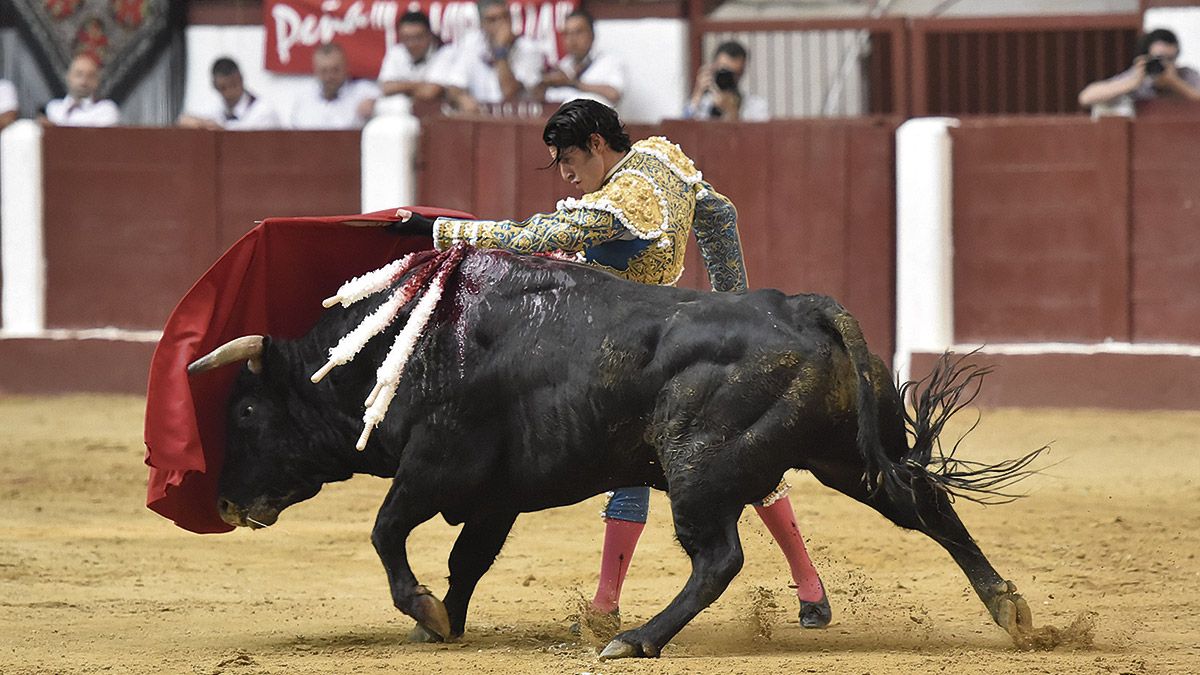 Alejandro Talavante cuajó una espectacular faena a su primer toro, pero no la remató con la espada y perdió una puerta grande de libro. | SAÚL ARÉN