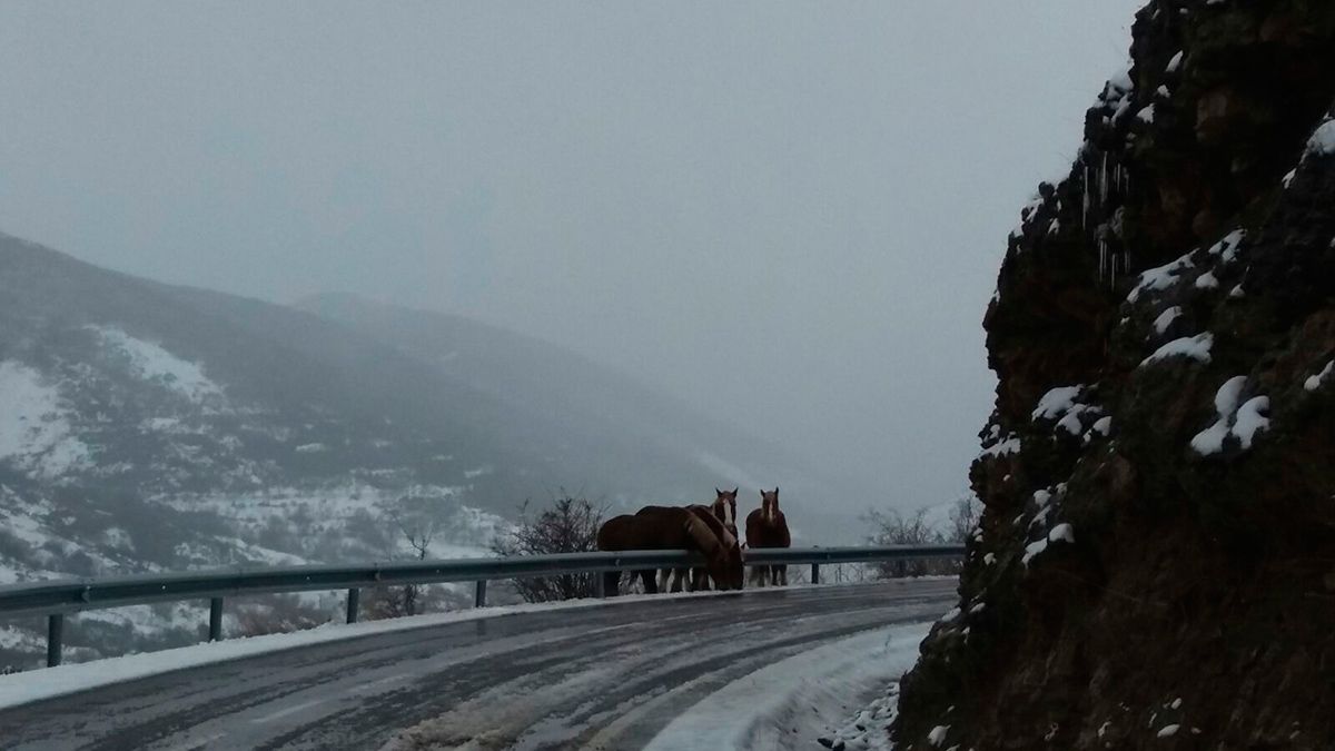 Complicaciones en el tráfico de las carreteras de León por las nevadas