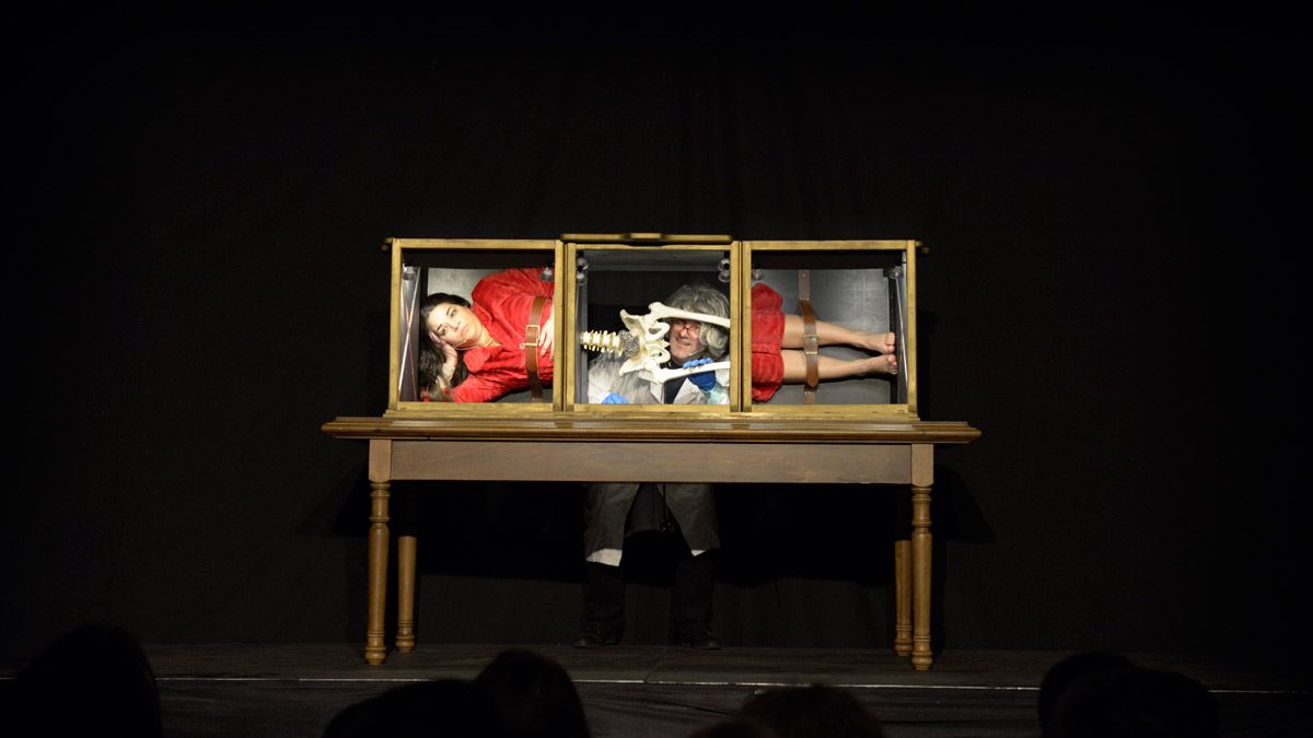 Nada por aquí, nada por allí... Magia por todas partes