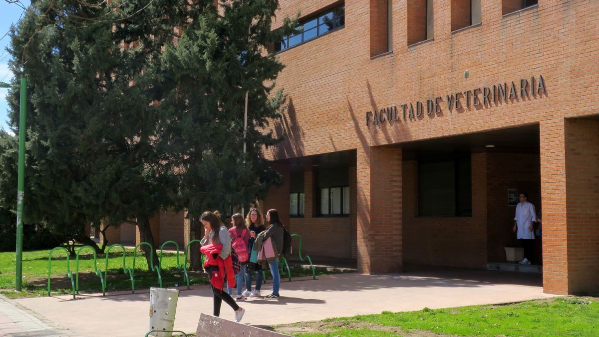 Facultad de Veterinaria de la Universidad de León. | L.N.C.