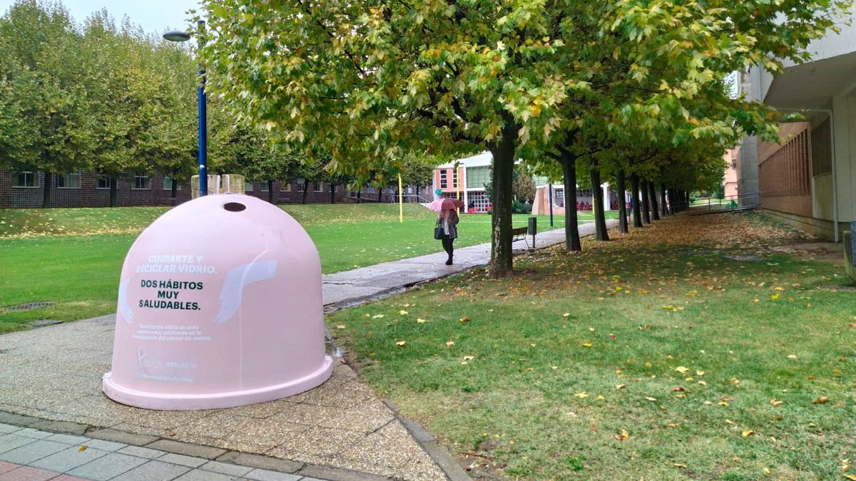 Imagen del contenedor rosa instalado en el campus de Vegazana de la Universidad de León. | L.N.C.