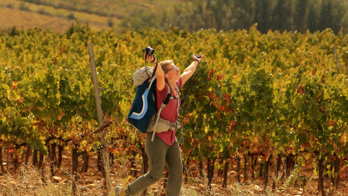 Una peregrina disfruta de su Camino entre los viñedos bercianos. | C.S. (Ical)