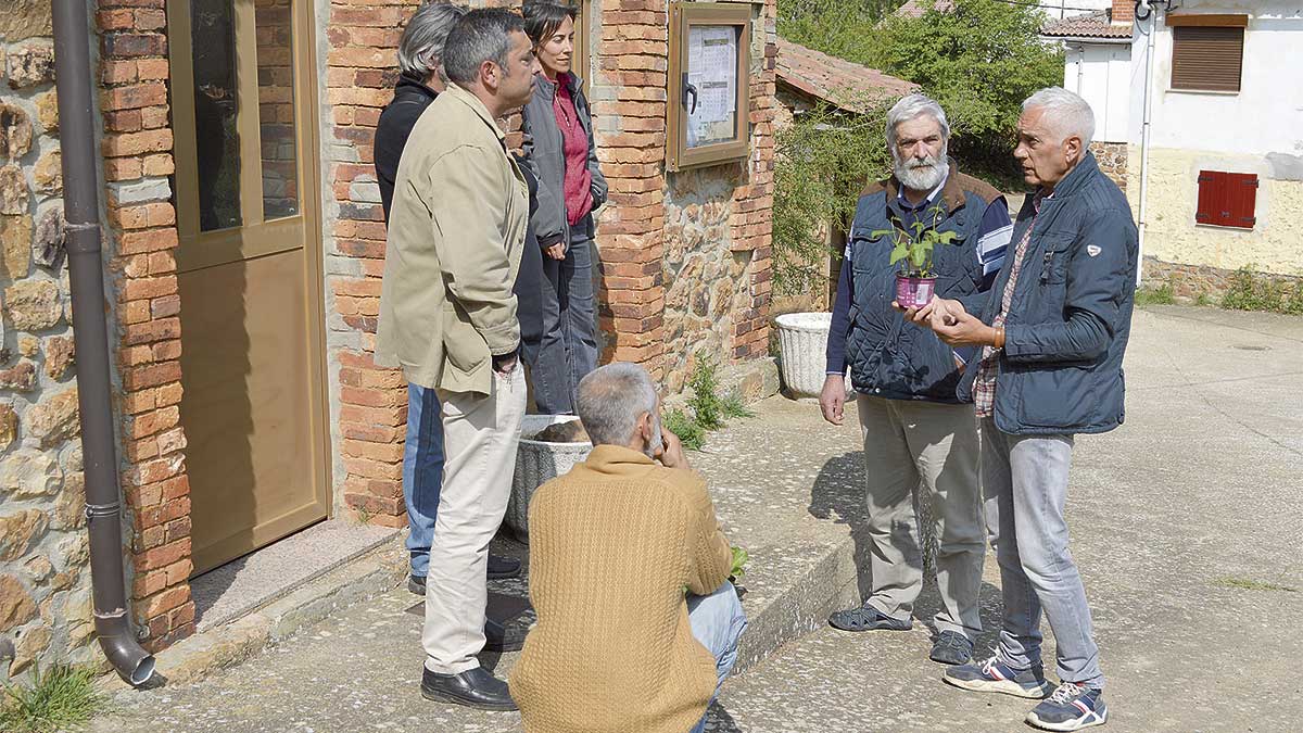 Imagen representativa de la noticia de portada