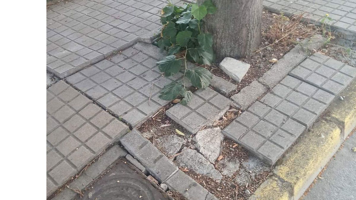 Imagen representativa de la noticia de portada