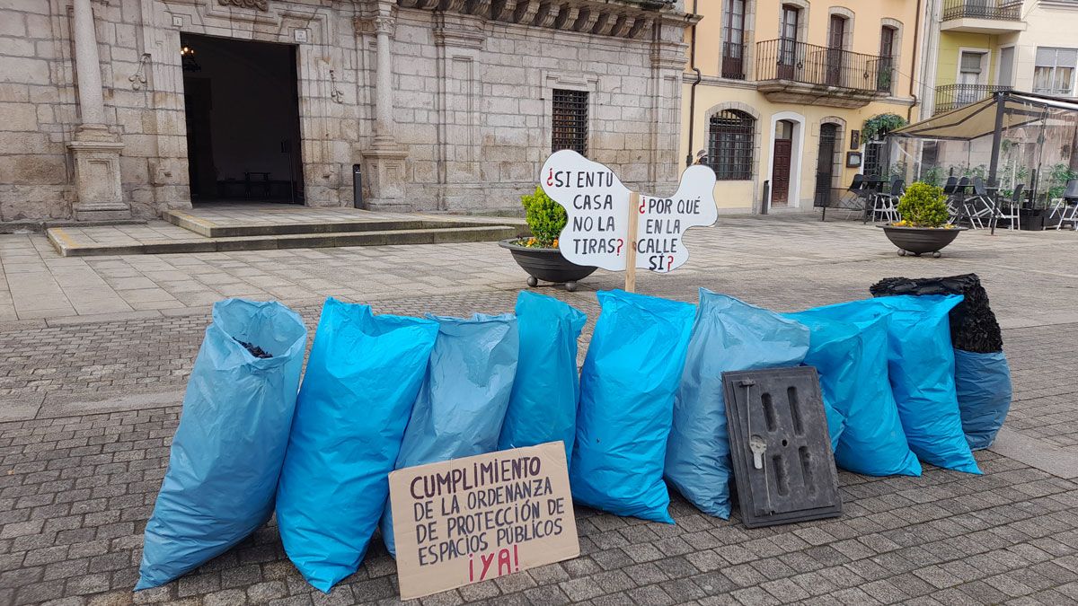 Proyecto Orbanajo trasladó toda la basura localizada en una de las cunetas de Ponferrada ante el Ayuntamiento. | MAR IGLESIAS