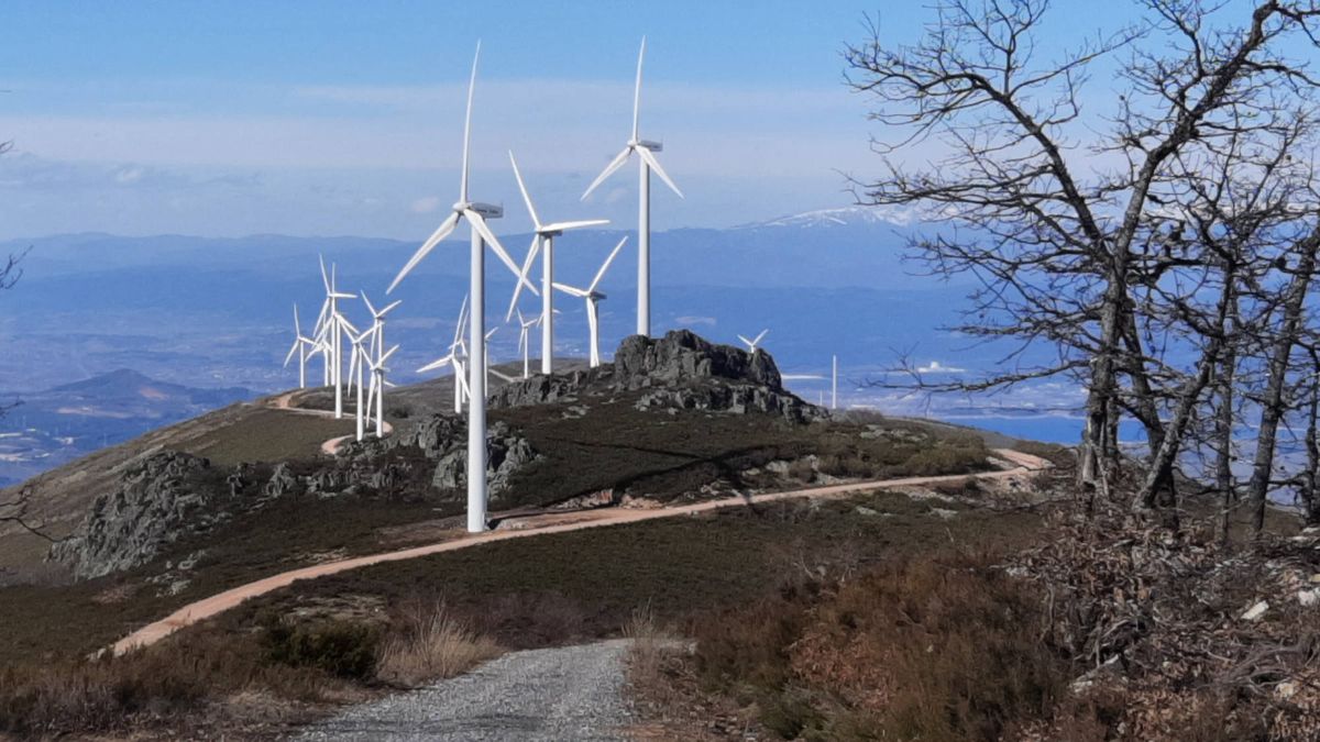Las organizaciones se oponen a la manera en la que se quieren desarrollar los proyectos presentados.