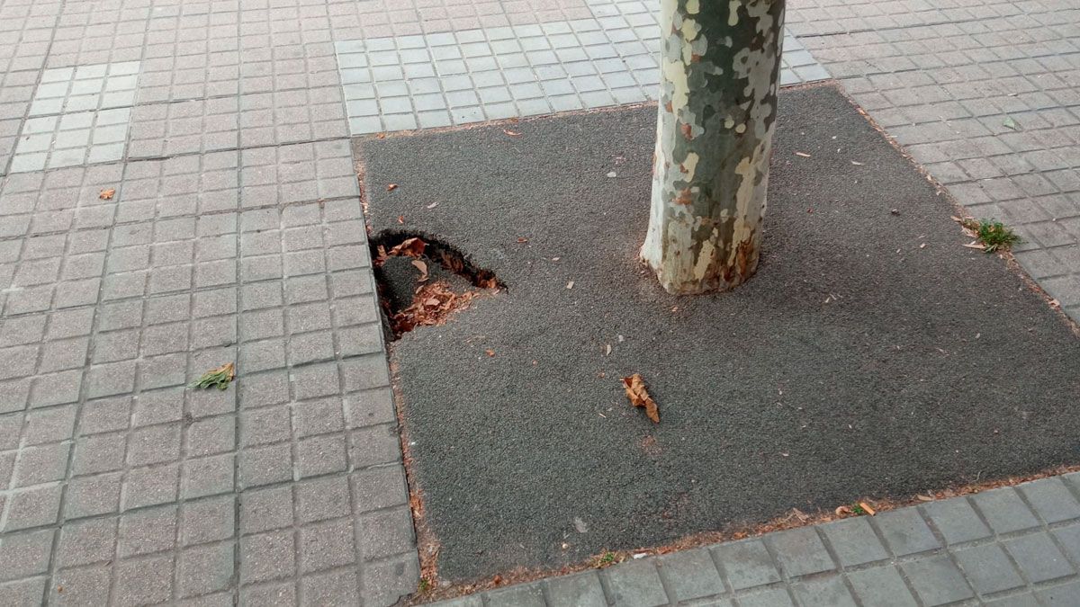Imagen representativa de la noticia de portada