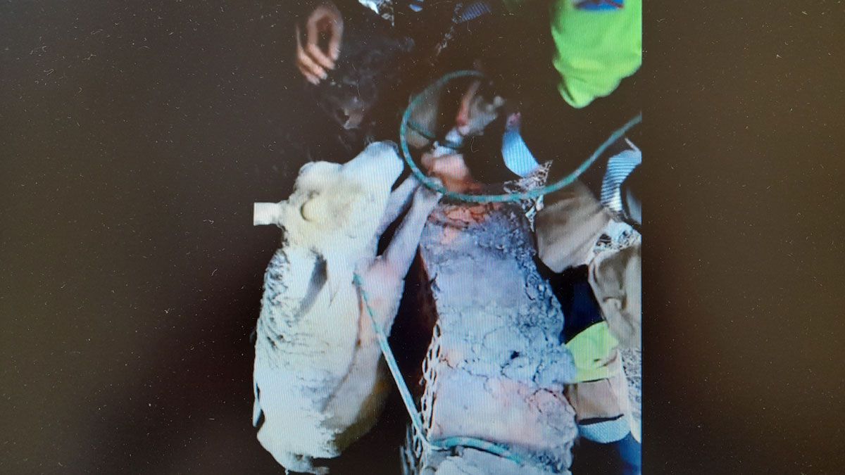 Momento en el que la oveja es rescatada del pozo. | BOMBEROS PONFERRADA