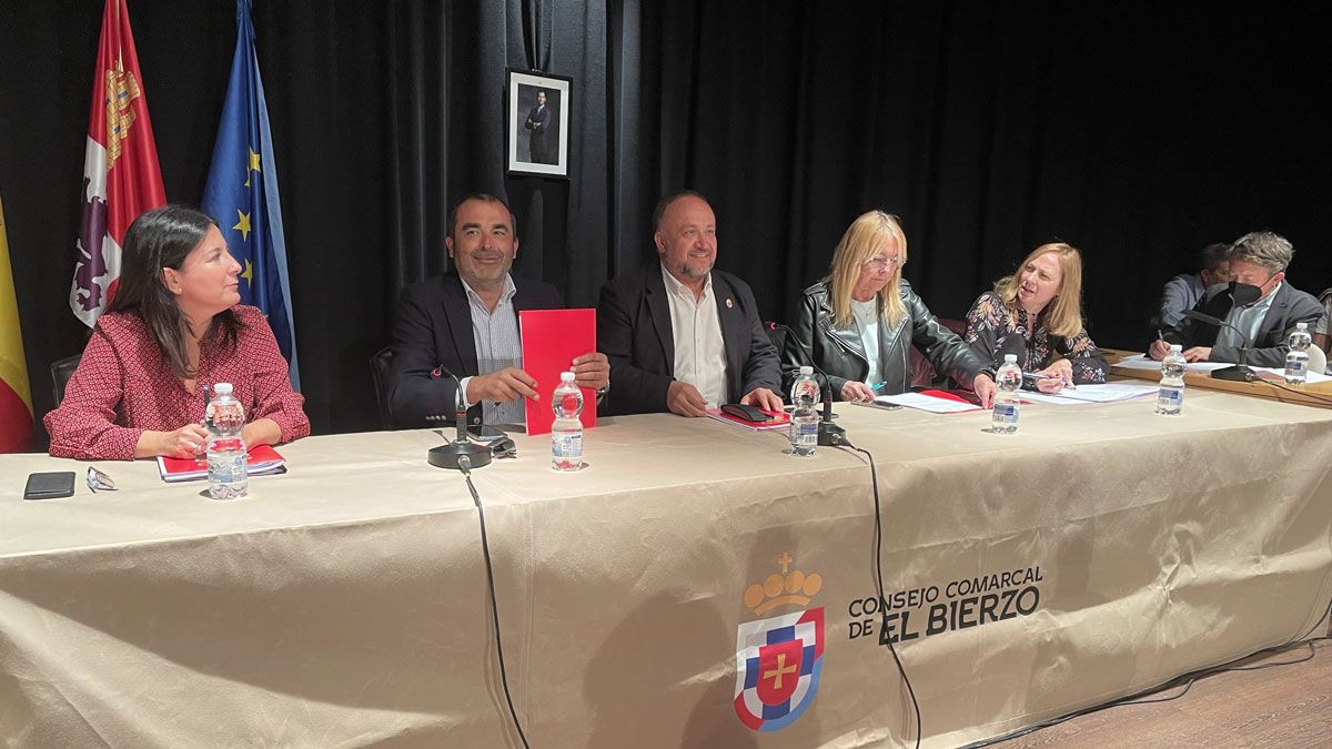 Sesión plenaria del Consejo Comarcal de El Bierzo. | Javier Fernández