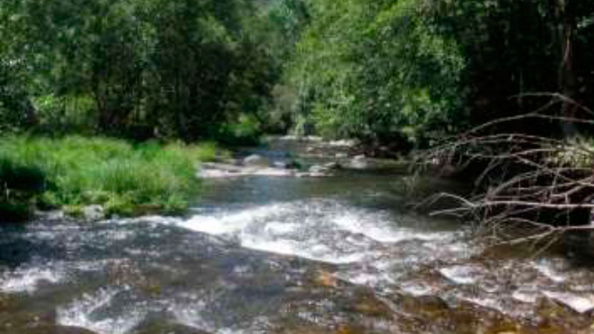 Río Cabrera, donde se piensa establecer el aprovechamiento.
