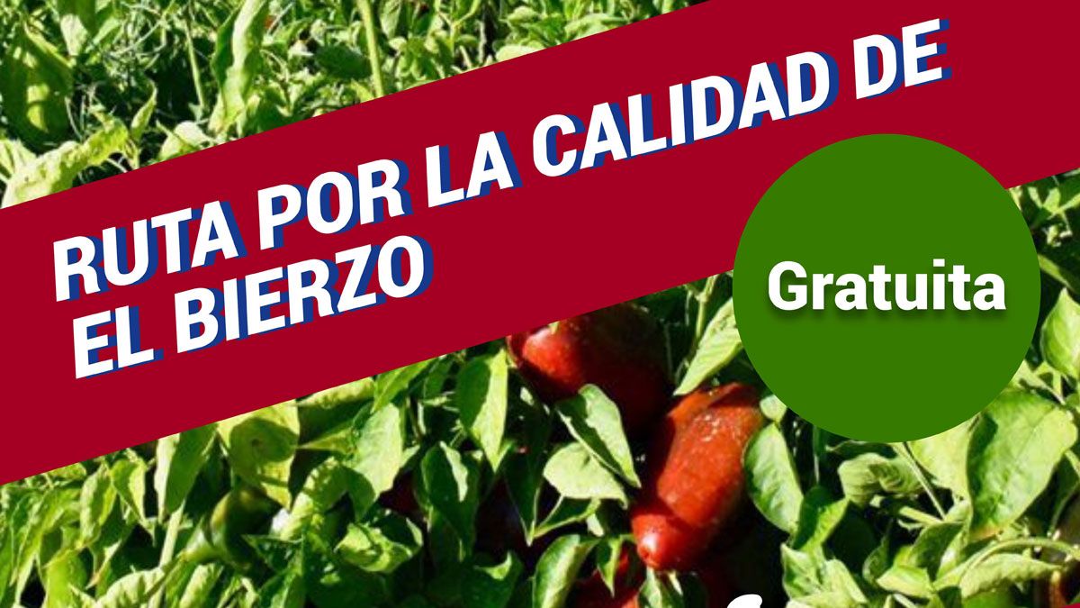 Imagen representativa de la noticia de portada