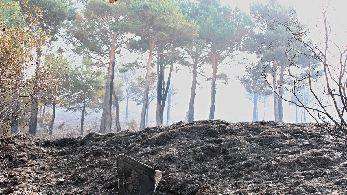 Así quedó el paisaje de La Cabrera tras el incendio. | ICAL