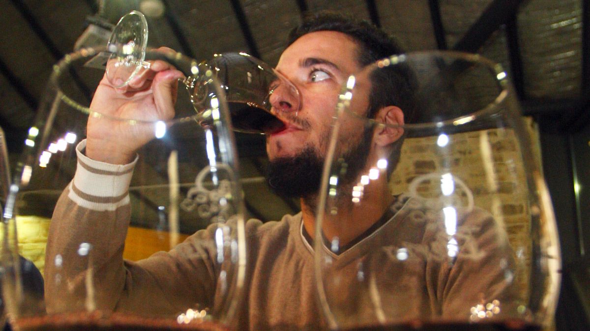 El mundo del vino se levanta contra proyectos energéticos nocivos.